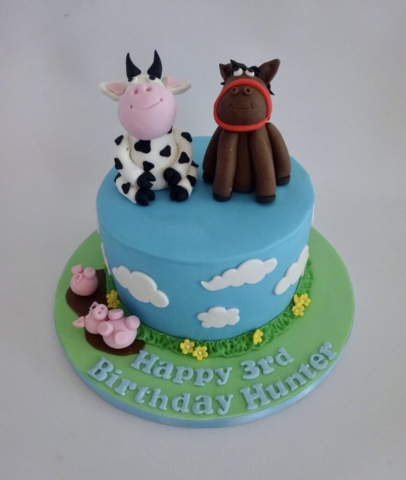 "Boys Farm Cake"