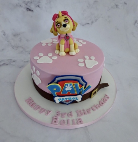 "Skye Paw Patrol Cake"