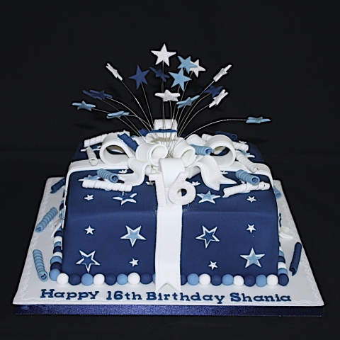 "Navy & White Starburst"