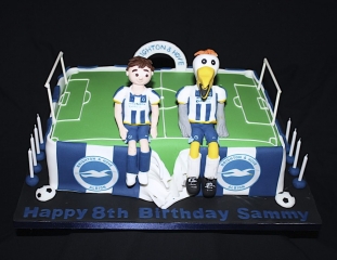 "Brighton Football Club Pitch Cake"