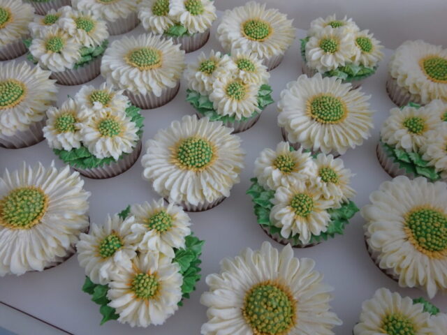 Boxed Floral Cupcakes Daisies